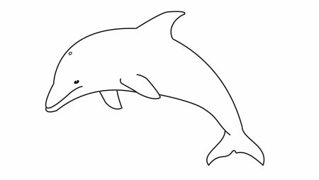 Дельфин рисунок