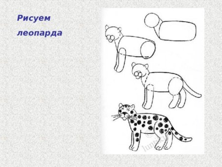 Леопард пошаговое рисование для детей