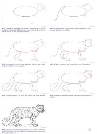 Как нарисовать тигра