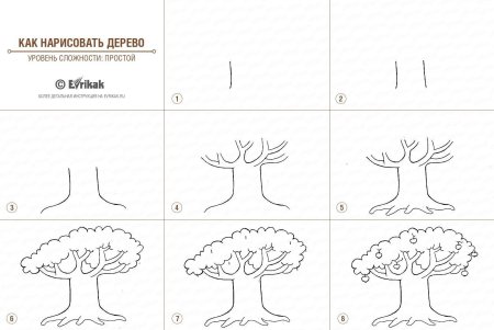 Рисование деревьев для дошкольников