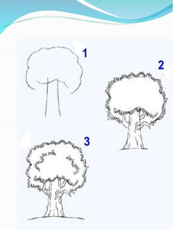 Поэтапное рисование дерева