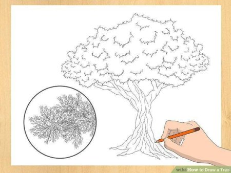 Поэтапное рисование дерева