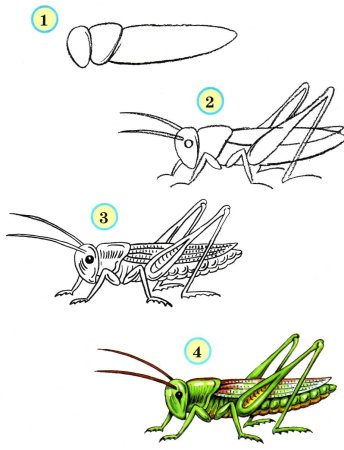 Кузнечик рисование пошагово