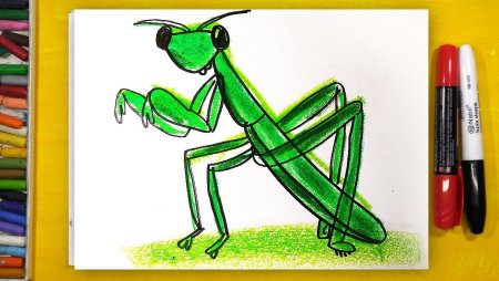 Кузнечик эскиз