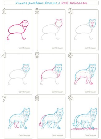 Как нарисовать волка ребенку