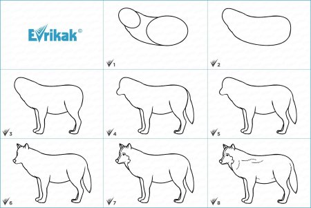 Пошаговое рисование волка