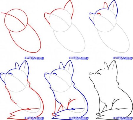 Нарисовать волка поэтапно
