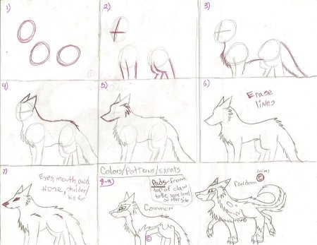 Поэтапное рисование волка для детей