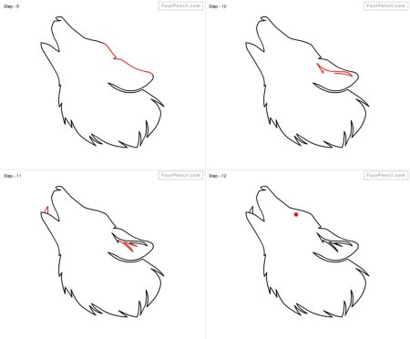Поэтапное рисование волка