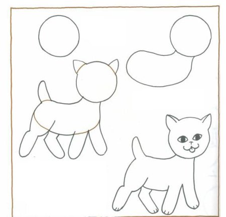 Пошаговый рисунок кошки