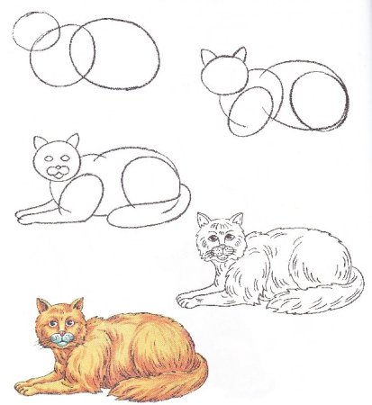 Этапы рисования кошки для дошкольников