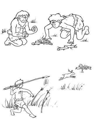 Human Evolution Эволюция человека