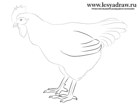 Концовка сказки чёрная курица