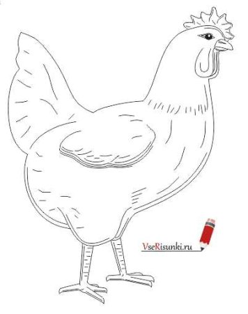 Погорельский черная курица или подземные жители рисунок