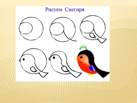 Этапы рисования снегиря для детей