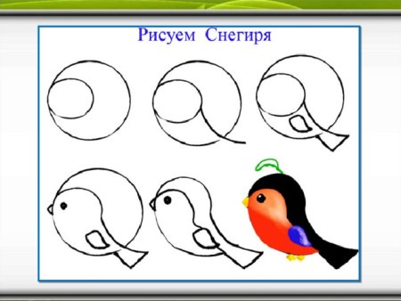 Схема рисования снегиря