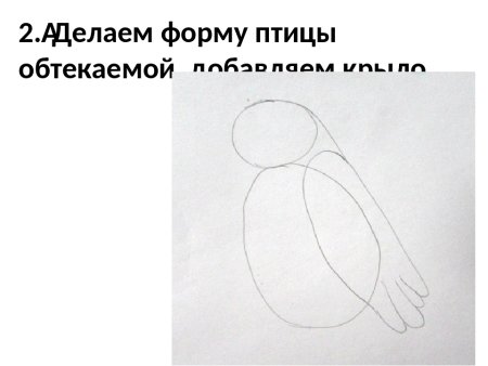 Алгоритм рисования снегиря