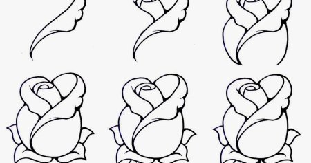 Как нарисовать сердце поэтапно карандашом