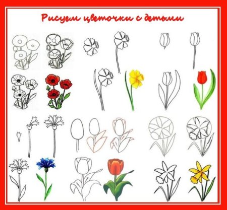 Цветы поэтапное рисование для детей