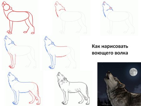 Рисование волка пошагово