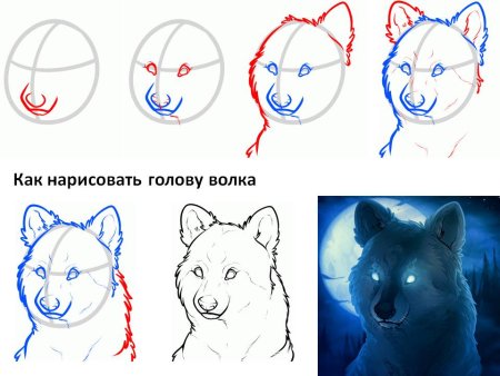 Пошагово для начинающих волк