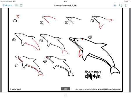 Пошаговое рисование дельфина