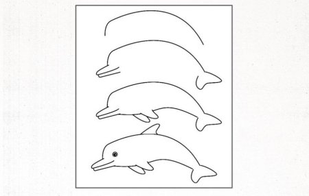 Поэтапное рисование дельфина