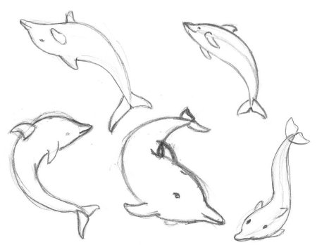 Рисунок дельфина карандашом