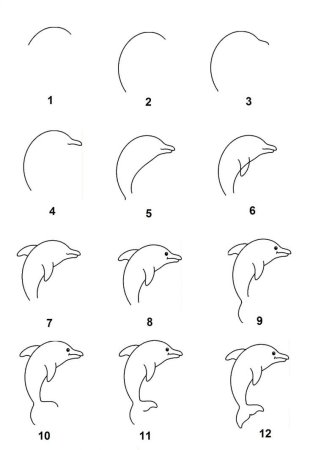 Дельфин поэтапное рисование