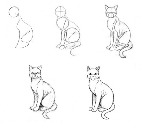 Схема рисования кошки