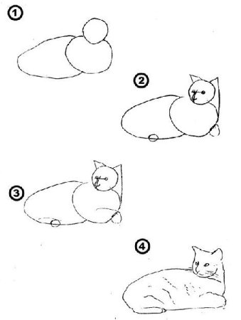 Поэтапный рисунок кошки