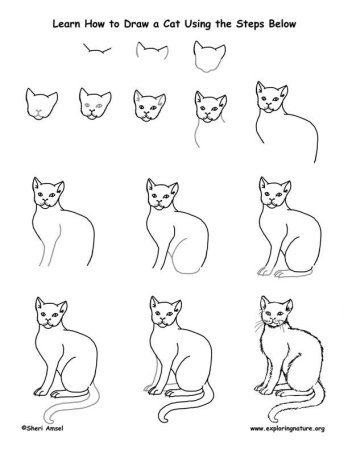 Схема рисования кошки для дошкольников
