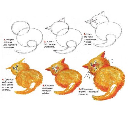 Схема рисования кошки для детей старшей группы