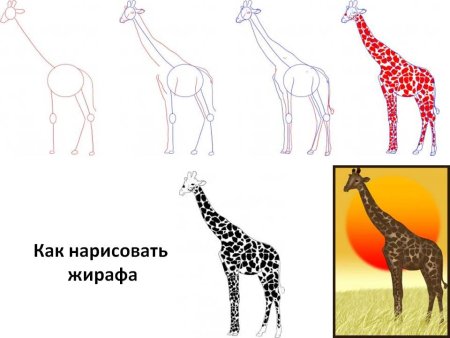 Рисование жирафа поэтапно
