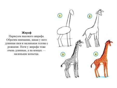 Этапы рисования жирафа для детей старшей группы