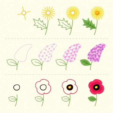 Рисунки карандашом цветы для начинающих