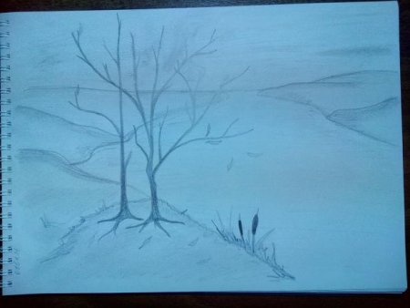 Последовательное рисование пейзажа