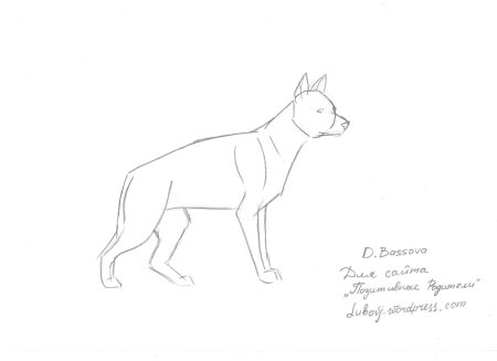 Поэтапный рисунок овчарки