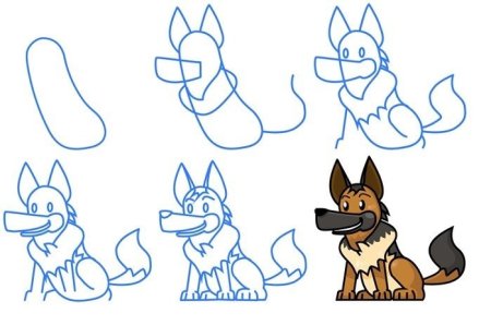 Анатомия морды собаки