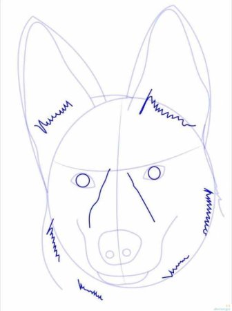 Схема рисования собаки для детей старшей группы