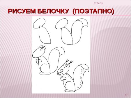 Поэтапное рисование белки