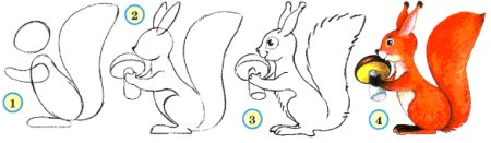Нарисовать белку пошагово