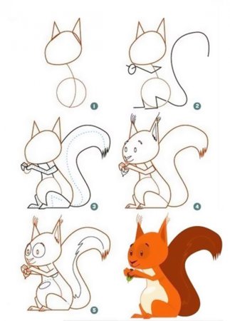 Как нарисовать белку поэтапно для детей