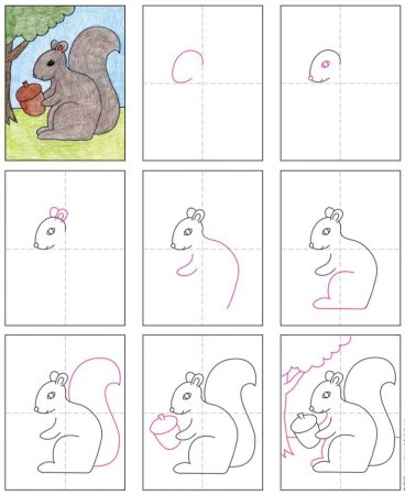 Как нарисовать белку поэтапно