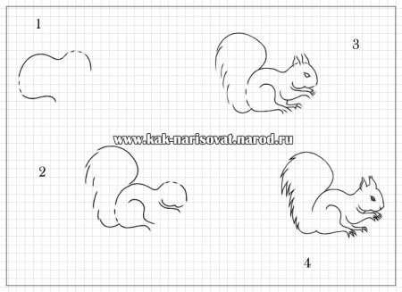 Поэтапное рисование зайца