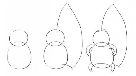 Белка поэтапное рисование