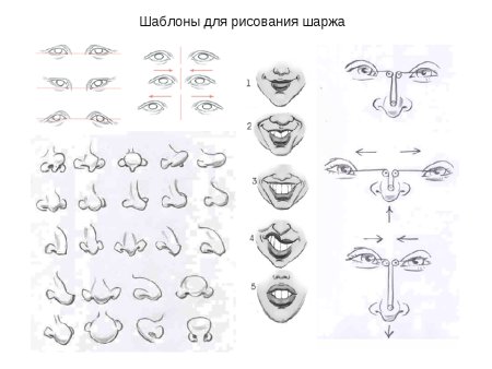 Шарж карандашом для начинающих