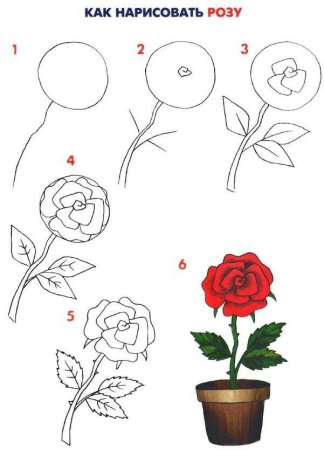 Схемы рисования цветов для детей