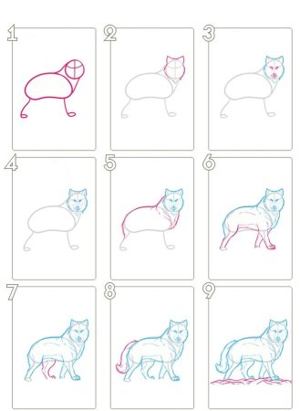 Волк сбоку рисунок пошагово