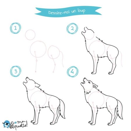 Как нарисовать волка поэтапно